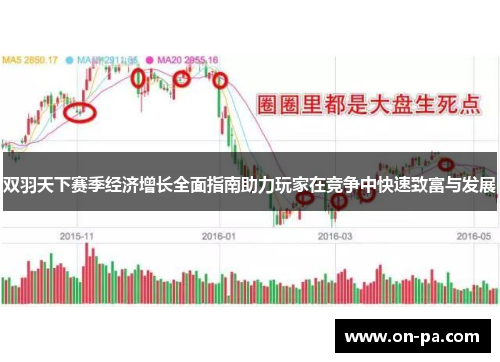 双羽天下赛季经济增长全面指南助力玩家在竞争中快速致富与发展