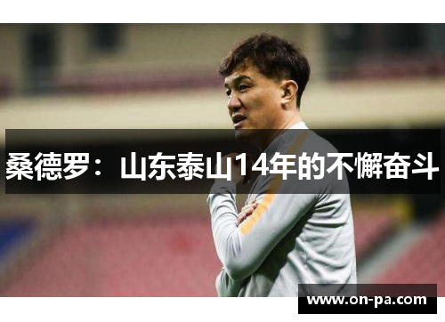 桑德罗：山东泰山14年的不懈奋斗