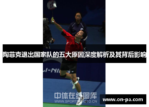 陶菲克退出国家队的五大原因深度解析及其背后影响