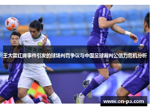 王大雷红牌事件引发的球场判罚争议与中国足球裁判公信力危机分析